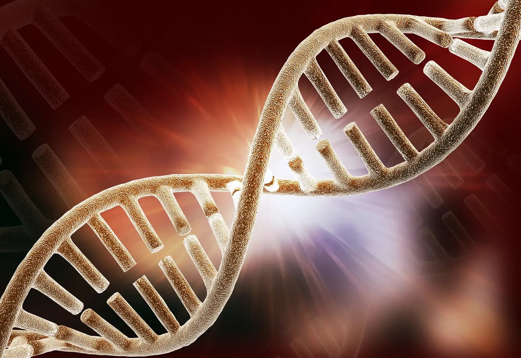 Od czego zależy wiek menopauzy